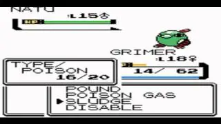 Let's Play Pokemon Legend Part 14 - Flying Through Another Gym