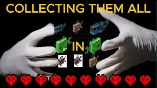 The Quest for Hardcore fame continues, but sadly ends in defeat