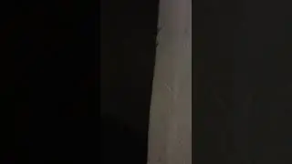 Berlin Hohensch&ouml;nhausen Gef&auml;ngnis Isolationszelle im Keller Mai 2019