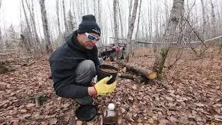Best Deer Mineral Attractant