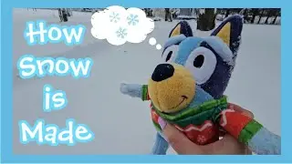 Bluey Science How Is Snow Made!?| Kids Learning