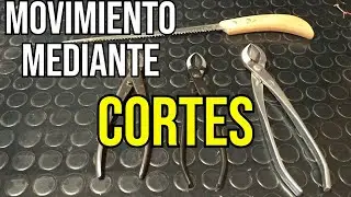 Cortes en ramas de Arce Palmatum para dar movimiento - BONSAI