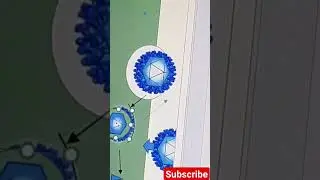Chikungunya virus entering into the host cell||capsid, cytoplasm, nucleolus#youtube#subscribe#shorts