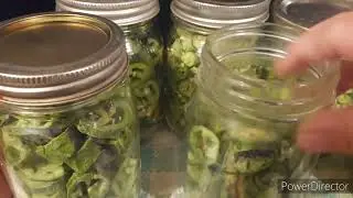 Harvest Right freeze dryer. freeze drying jalapenos and Serranos for long-term storage.