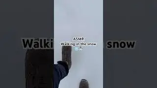Who loves walking in the snow? #snowfall #winterwonderland #snowwalking #fyp #viral