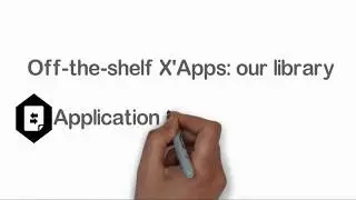 X'APPS: Application Data Mass Update (EN)