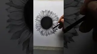 sun flower drawing part 01 just glimpse only. #drawing #art #painting #artist