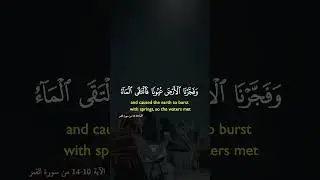 Do subscribe🫀 #halal #content #recitation #edits #foryou