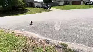 Losi Promoto jumping in Crestucky