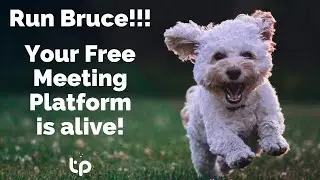 Free Online Meeting Room - The Best Free Online Meeting Room!