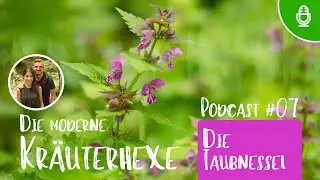 Die Taubnessel - Podcast Folge 07 - Die moderne Kr&auml;uterhexe #taubnessel #wildkr&auml;uter