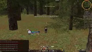 Пятничные Эттены в lotro