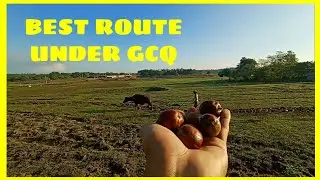 BEST ROUTE UNDER GCQ  (WITH TEAM ABE BICYCLE)