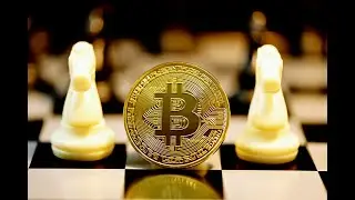 Bitcoin Sentiment Reaches Local High But Can&rsquo;t Shake Recent Fear
