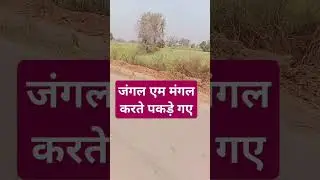 #viralvideo #song #funny #chut