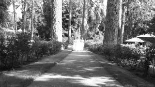Andy & Tori  White Empire Mine Wedding Grass Valley