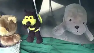 Baby Manatee- [Nursery Rhymes]