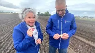 Bloemencorso Bollenstreek - Bollenplanten 2022