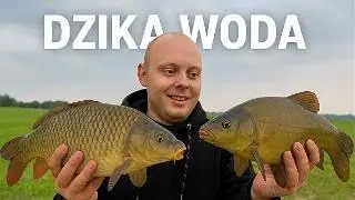 OGROMNE RYBY Z DZIKIEJ WODY