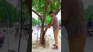 Why does the Indian Government not remove tree guards from trees on time? #shortvideo #savetrees