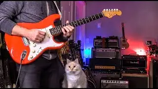 SRV Feel with 1979 Fender Princeton Reverb (Free Wah Pedal Effect)
