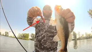 Jawbone Tackle Company CRAWFISH Lure Test (LMB Fishing)
