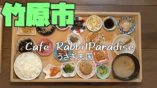 【広島グルメ】竹原 RabbitParadise、うさぎの島に近い竹原市忠海港、その近くにある食事処です。木箱ランチ、ミニうさちゃんのオムライス、ぷるぷるうさぎプリンなどSNS映えする料理が沢山です