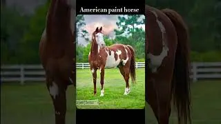 Starstable horses vs real life part 6? #horse #sso #starstable #starstableshorts #starstableonline