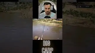 Euro Fishing - #shorts #livegaming  #fishing #gaming #gamingvideos #games #fish #fyp #carp #funny