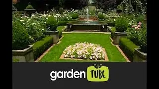 Companion Plants For Roses