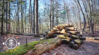 Поле для диск-гольфа Rockwell Park в Бристоле, штат Коннектикут! | Ежедневное количество игр в ди...