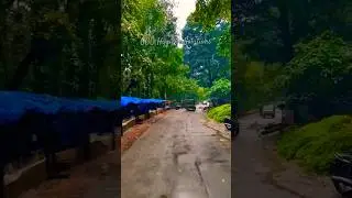 Vintage tour Andhra coffee garden
