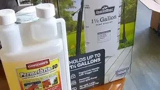 Permethrin and Water: A Proven Carpenter Bee Killer