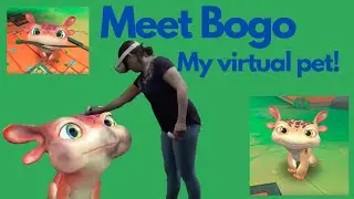 Playing Bogo in VR on my Oculus quest 2
