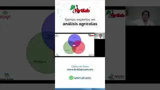 Pilares de la fertilidad del suelo