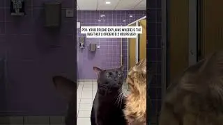 Bathroom meeting with your bestie
