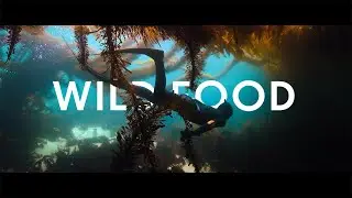 WILD FOOD - Free Diving & Spear Fishing with Ariel Tweto