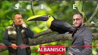 Sulltan Hajolli & Ernim Ibrahimi  - Tallava 2017-2025 synetija bashkimit studio star #435
