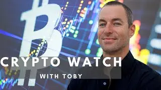 MAJOR Factors Contributing to 2021 Crypto Bull Run