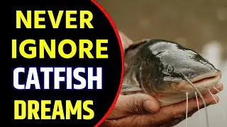 Catfish Dream Meaning | Catfish Dream Interpretation