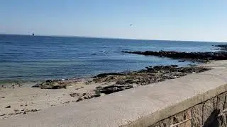 Osprey Beach New London Ct.Jueves 18 de Noviembre del 2021.👍😎👋🥭🥦🥬🍊🍉🍍...