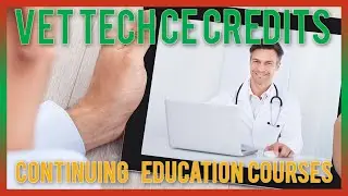 Vet Tech CE Credits