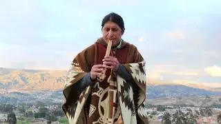 PONCHITO za za za