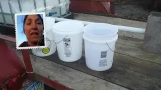 Bargain maple sap bucket find | Make your own sale
