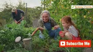 Winter Farming in Norway: Hydroponic Gardening & Urban Farming Tips!