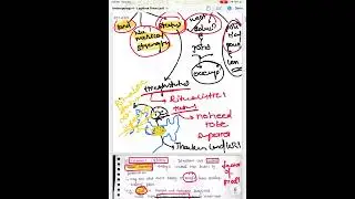 Dominant caste 3.2