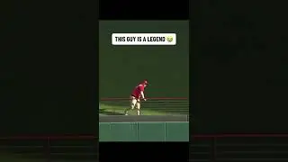 FAN MAKES CRAZY CATCH! #baseballshorts #mlbbshorts