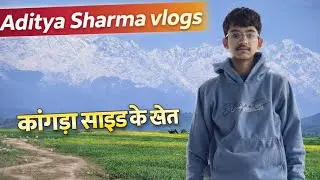 Kangra side kai khet #vlog #ytviral #ytvlogs 