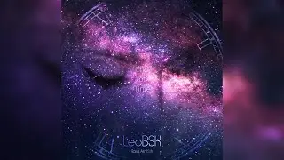 LeoBSK - End of Time ft. Rosa Arnbak (Lyrics)