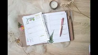 Bullet Journal - Weekly Spread June || ORINTSANI